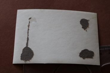 Preview: altes Foto geschändete und ermordete Frau - Flintenweib ?? Russland ?Partisanin ?